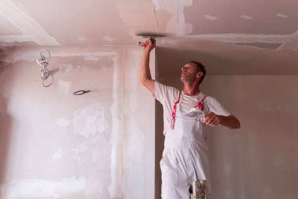 Best Ceiling Drywall Installation  in Holden Heights, FL